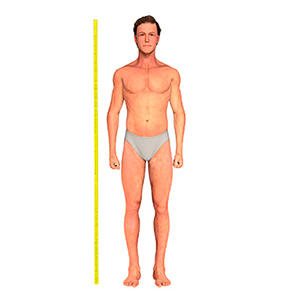 How to measure height